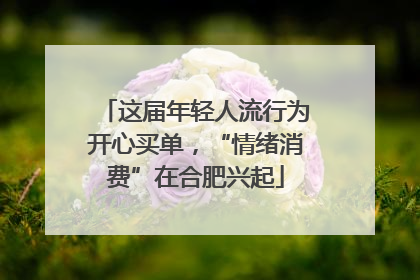 这届年轻人流行为开心买单，“情绪消费”在合肥兴起