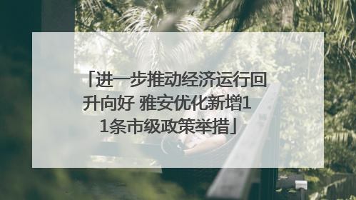 进一步推动经济运行回升向好 雅安优化新增11条市级政策举措