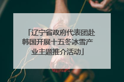 辽宁省政府代表团赴韩国开展十五冬冰雪产业主题推介活动