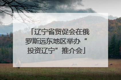 辽宁省贸促会在俄罗斯远东地区举办“投资辽宁”推介会