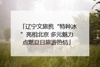 辽宁文旅携“特种冰”亮相北京 多元魅力点燃夏日旅游热情