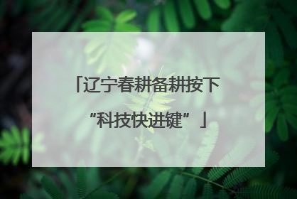 辽宁春耕备耕按下“科技快进键”
