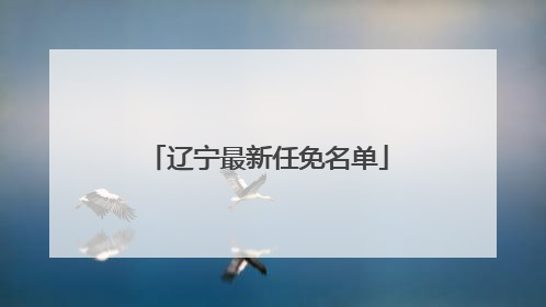 辽宁最新任免名单