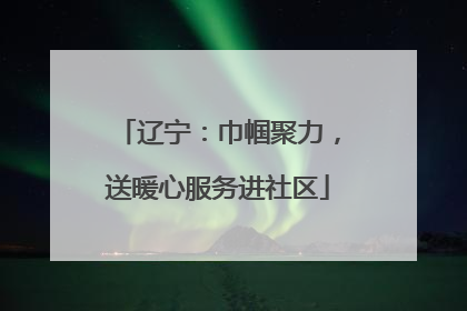 辽宁：巾帼聚力，送暖心服务进社区