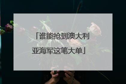 谁能抢到澳大利亚海军这笔大单