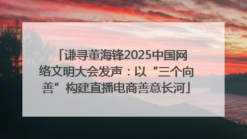 谦寻董海锋2025中国网络文明大会发声：以“三个向善”构建直播电商善意长河