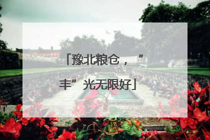 豫北粮仓，“丰”光无限好