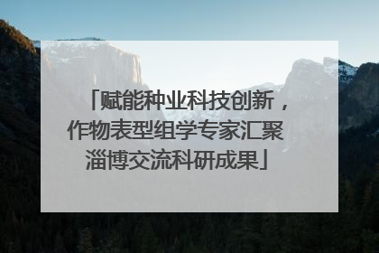 赋能种业科技创新，作物表型组学专家汇聚淄博交流科研成果