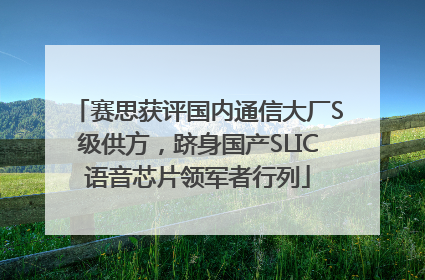 赛思获评国内通信大厂S级供方，跻身国产SLIC语音芯片领军者行列