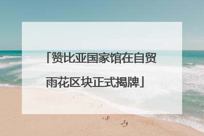 赞比亚国家馆在自贸雨花区块正式揭牌