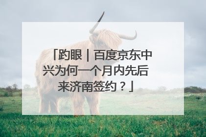 趵眼｜百度京东中兴为何一个月内先后来济南签约？