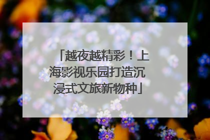 越夜越精彩！上海影视乐园打造沉浸式文旅新物种