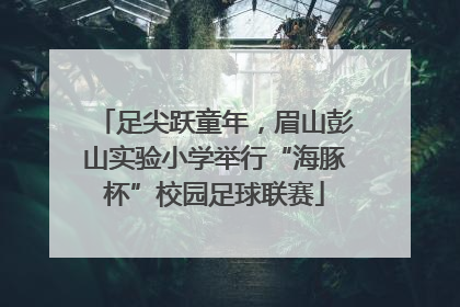 足尖跃童年，眉山彭山实验小学举行“海豚杯”校园足球联赛