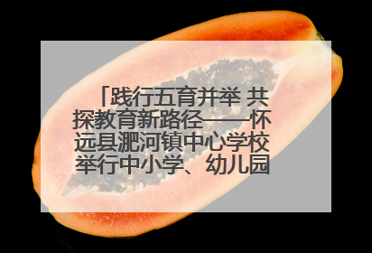 践行五育并举 共探教育新路径——怀远县淝河镇中心学校举行中小学、幼儿园班主任论坛活动