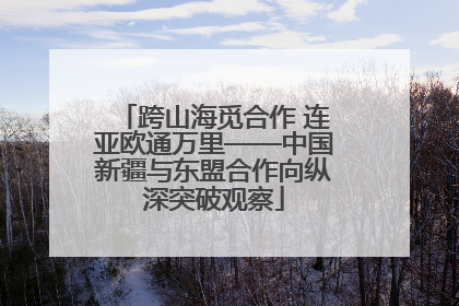 跨山海觅合作 连亚欧通万里——中国新疆与东盟合作向纵深突破观察