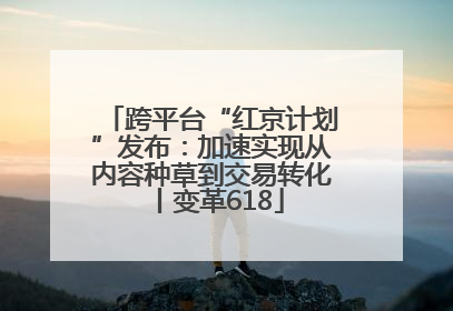 跨平台“红京计划”发布：加速实现从内容种草到交易转化丨变革618
