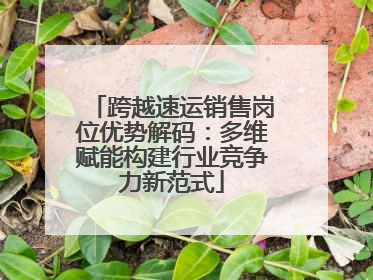 跨越速运销售岗位优势解码：多维赋能构建行业竞争力新范式