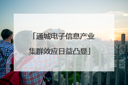 通城电子信息产业集群效应日益凸显