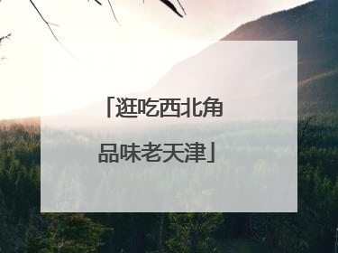 逛吃西北角 品味老天津