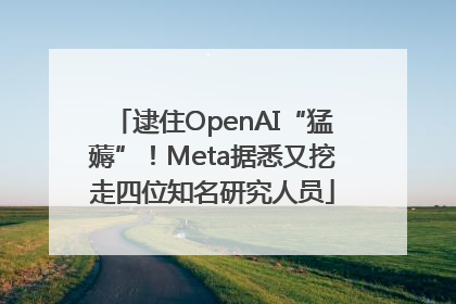 逮住OpenAI“猛薅”！Meta据悉又挖走四位知名研究人员