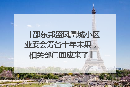 邵东邦盛凤凰城小区业委会筹备十年未果，相关部门回应来了