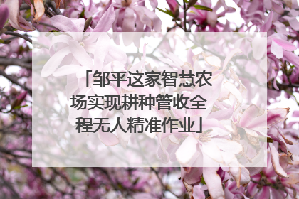邹平这家智慧农场实现耕种管收全程无人精准作业