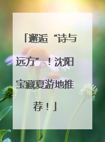 邂逅“诗与远方”！沈阳宝藏夏游地推荐！