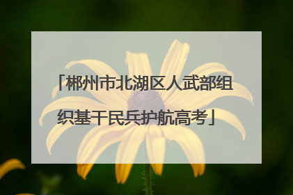 郴州市北湖区人武部组织基干民兵护航高考