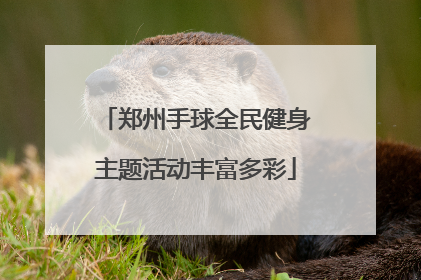 郑州手球全民健身主题活动丰富多彩