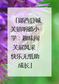 郧西县城关镇明德小学：趣味闯关展风采 快乐无纸助成长