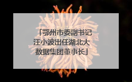 鄂州市委副书记汪小波出任湖北大数据集团董事长