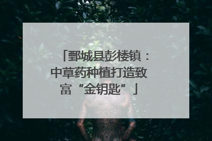 鄄城县彭楼镇：中草药种植打造致富“金钥匙”