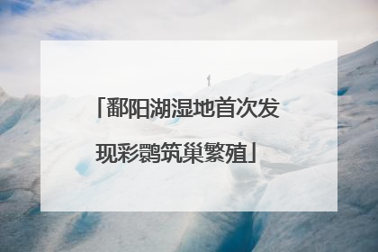 鄱阳湖湿地首次发现彩鹮筑巢繁殖