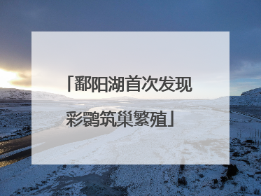 鄱阳湖首次发现彩鹮筑巢繁殖