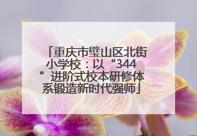 重庆市璧山区北街小学校：以“344”进阶式校本研修体系锻造新时代强师