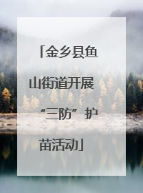 金乡县鱼山街道开展“三防”护苗活动