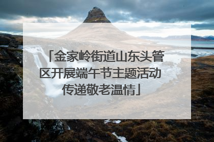 金家岭街道山东头管区开展端午节主题活动 传递敬老温情
