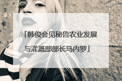 韩俊会见秘鲁农业发展与灌溉部部长马内罗