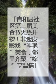 青和居社区第二届美食节火热开锣！非遗皮影戏“斗艳”美食，邻里齐聚“粽”享温情