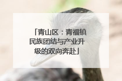 青山区：青福镇民族团结与产业升级的双向奔赴