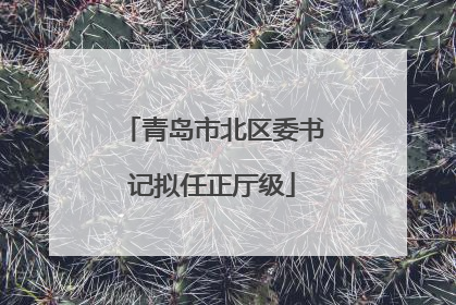 青岛市北区委书记拟任正厅级