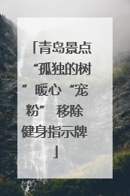 青岛景点“孤独的树”暖心“宠粉” 移除健身指示牌