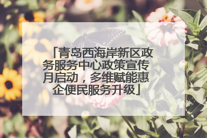青岛西海岸新区政务服务中心政策宣传月启动，多维赋能惠企便民服务升级