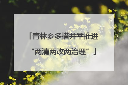 青林乡多措并举推进“两清两改两治理”
