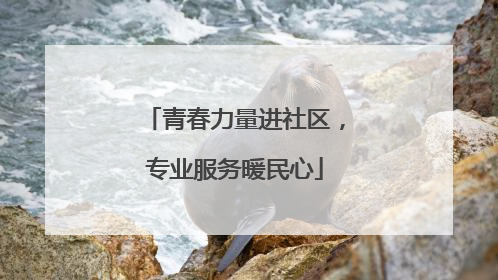 青春力量进社区，专业服务暖民心