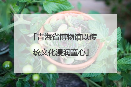 青海省博物馆以传统文化浸润童心