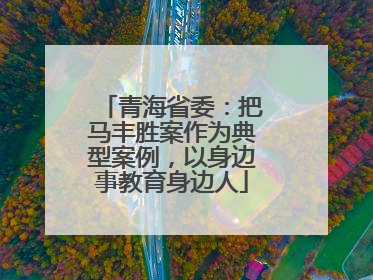 青海省委：把马丰胜案作为典型案例，以身边事教育身边人