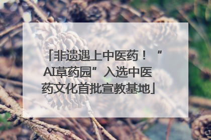 非遗遇上中医药！“AI草药园”入选中医药文化首批宣教基地