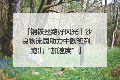 钢铁丝路好风光丨沙良物流园助力中欧班列跑出“加速度”