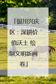 银川兴庆区：深耕价值沃土 绘制文明新画卷